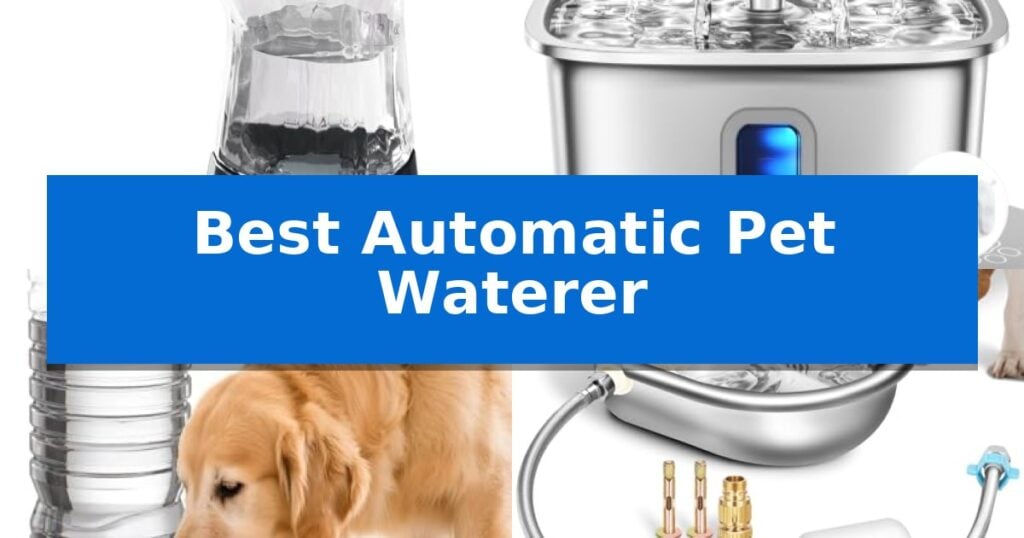 Best Automatic Pet Waterer