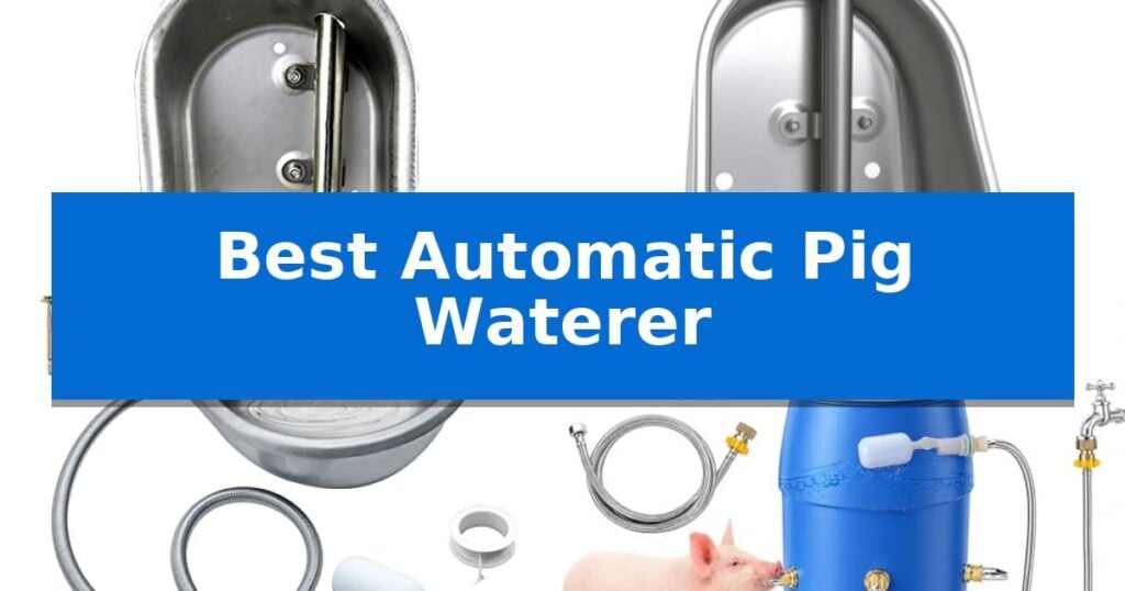 Best Automatic Pig Waterer
