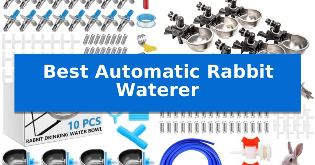 Best Automatic Rabbit Waterer