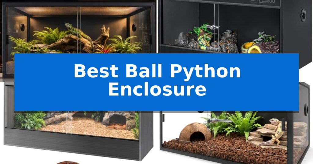 Best Ball Python Enclosure