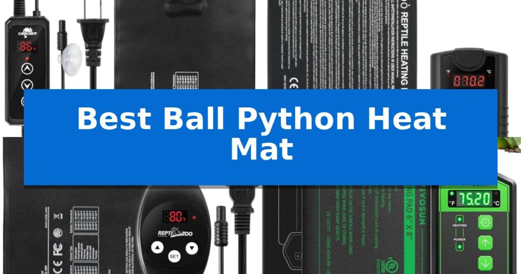 Best Ball Python Heat Mat