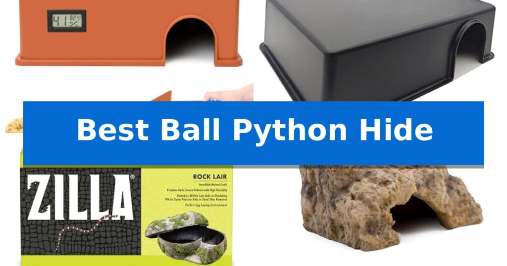 Best Ball Python Hide