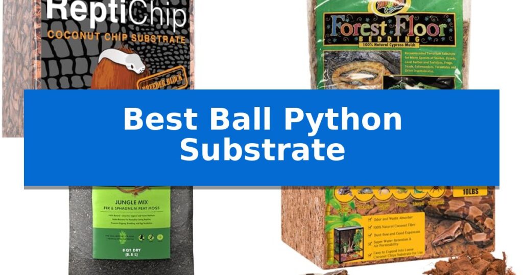Best Ball Python Substrate