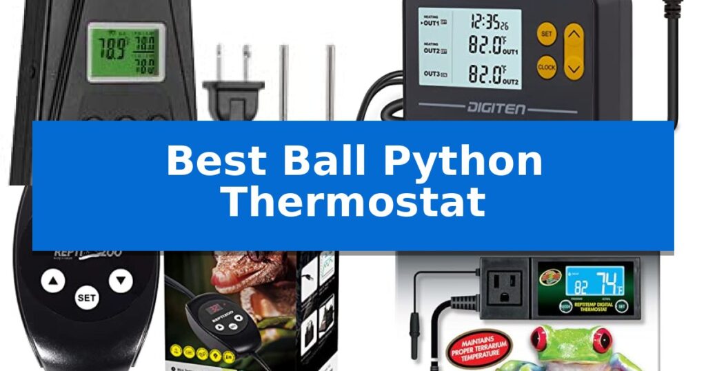Best Ball Python Thermostat
