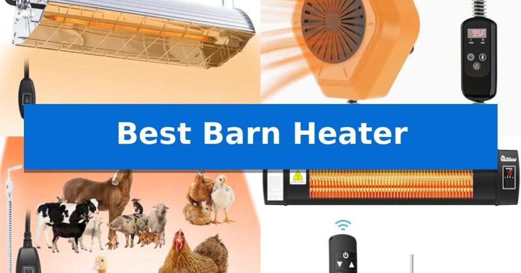 Best Barn Heater