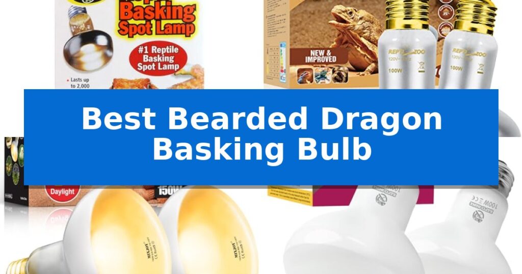 Best Bearded Dragon Basking Bulb