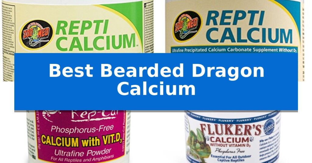 Best Bearded Dragon Calcium