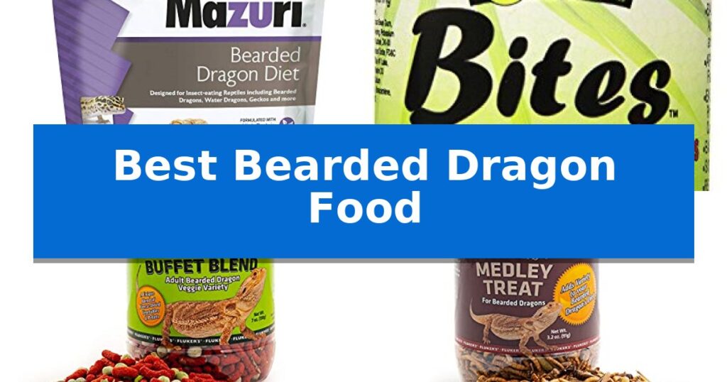 Best Bearded Dragon Food