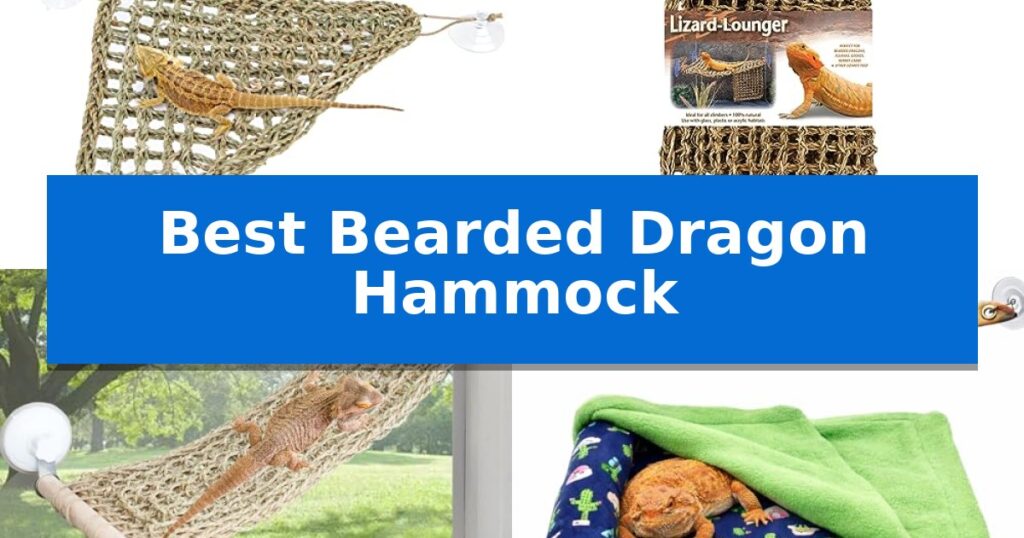 Best Bearded Dragon Hammock