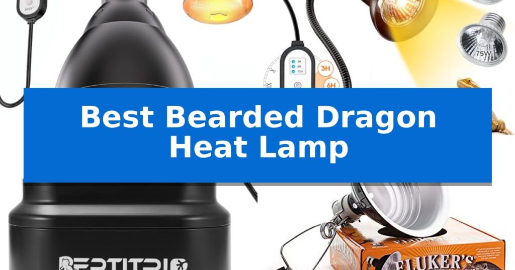 Best Bearded Dragon Heat Lamp