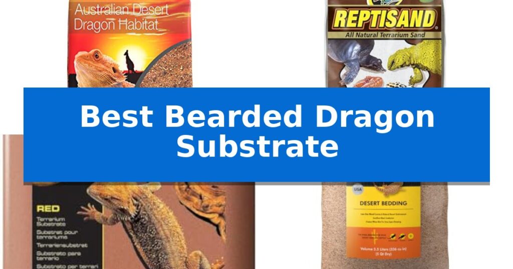 Best Bearded Dragon Substrate