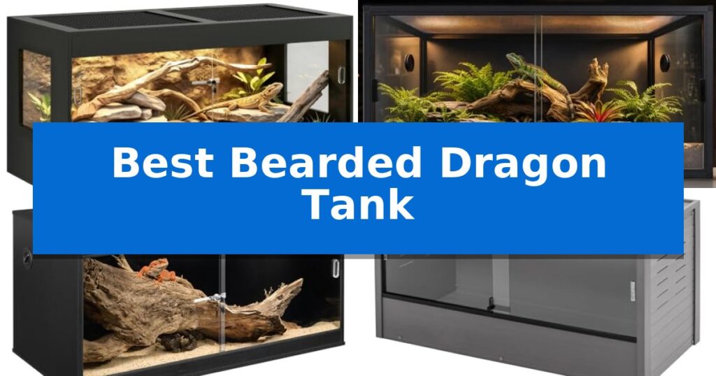 Best Bearded Dragon Tank