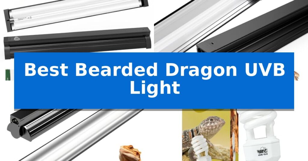 Best Bearded Dragon UVB Light