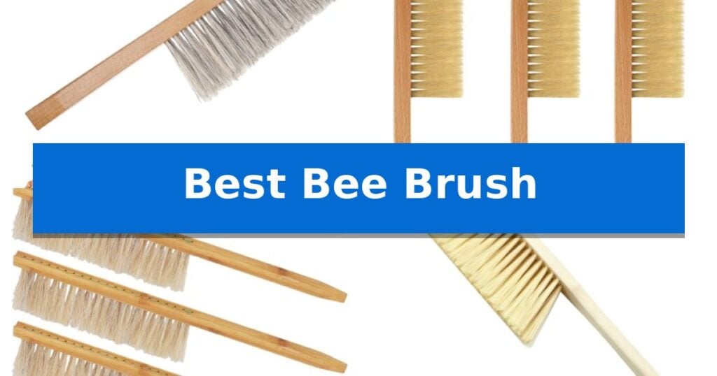 Best Bee Brush