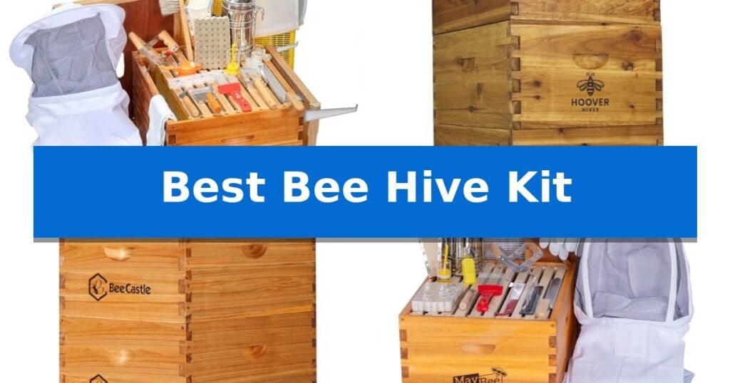 Best Bee Hive Kit