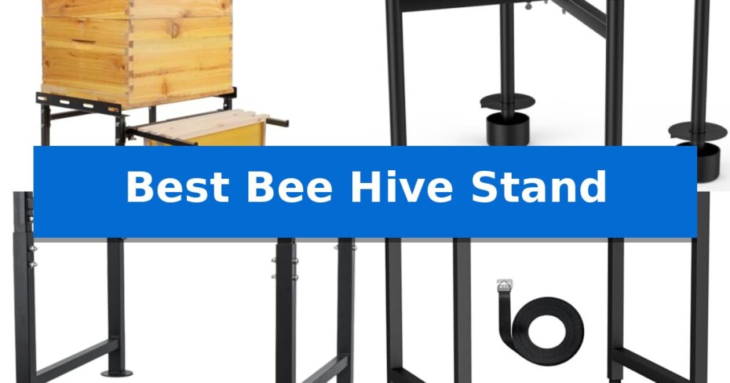 Best Bee Hive Stand