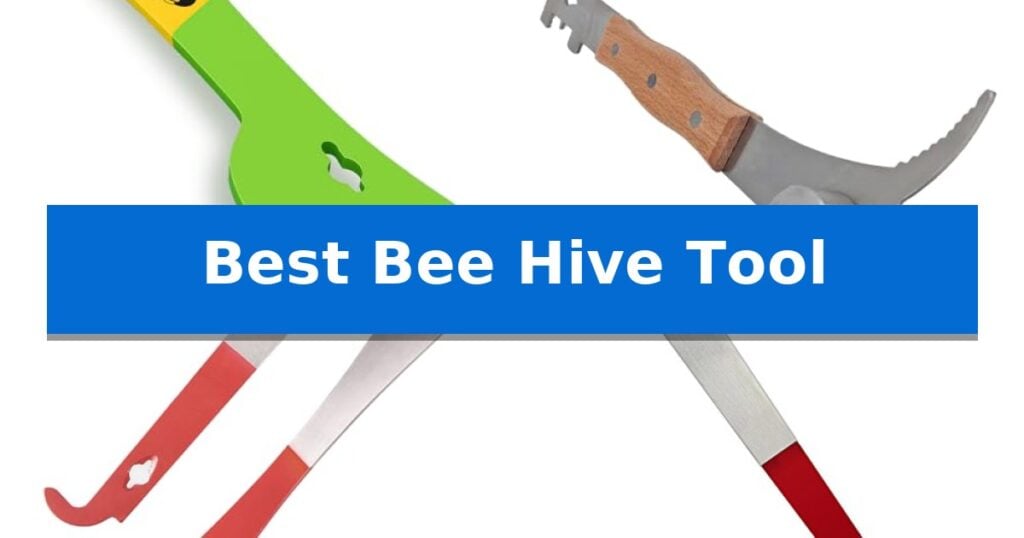 Best Bee Hive Tool