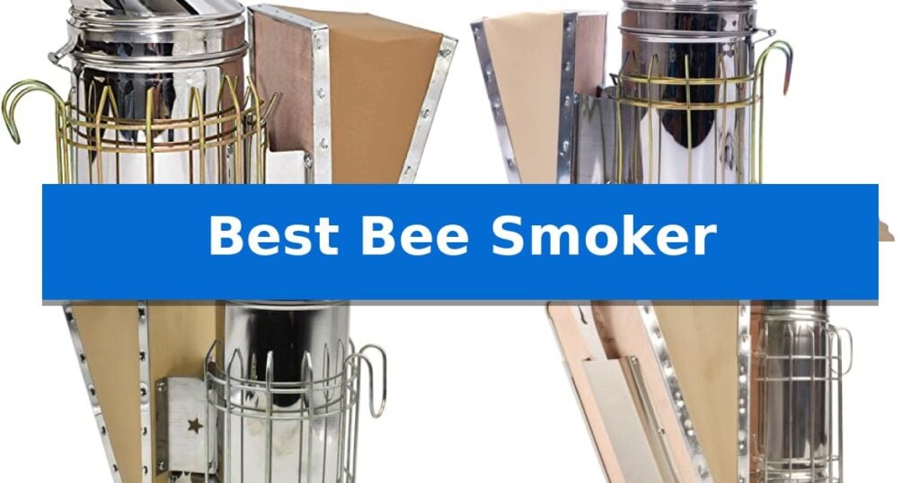 Best Bee Smoker