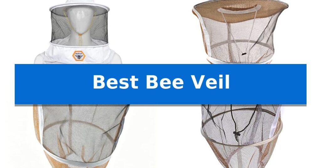 Best Bee Veil