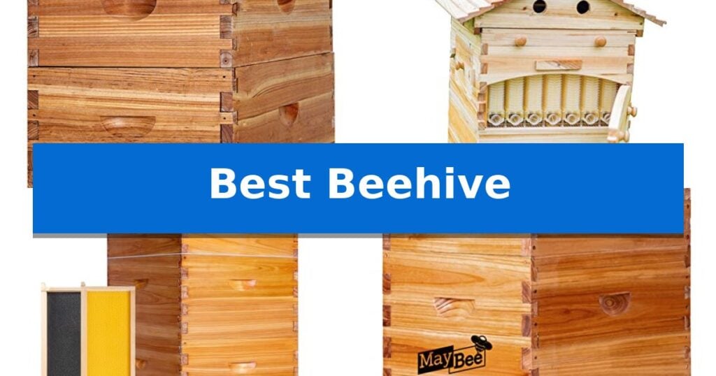Best Beehive