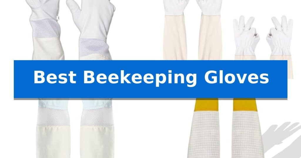 Best Beekeeping Gloves