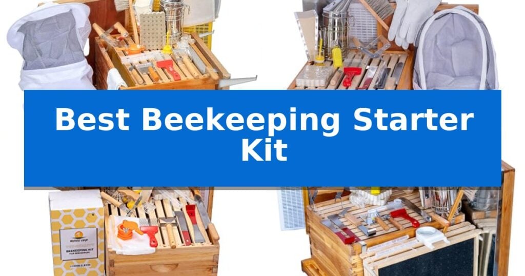Best Beekeeping Starter Kit