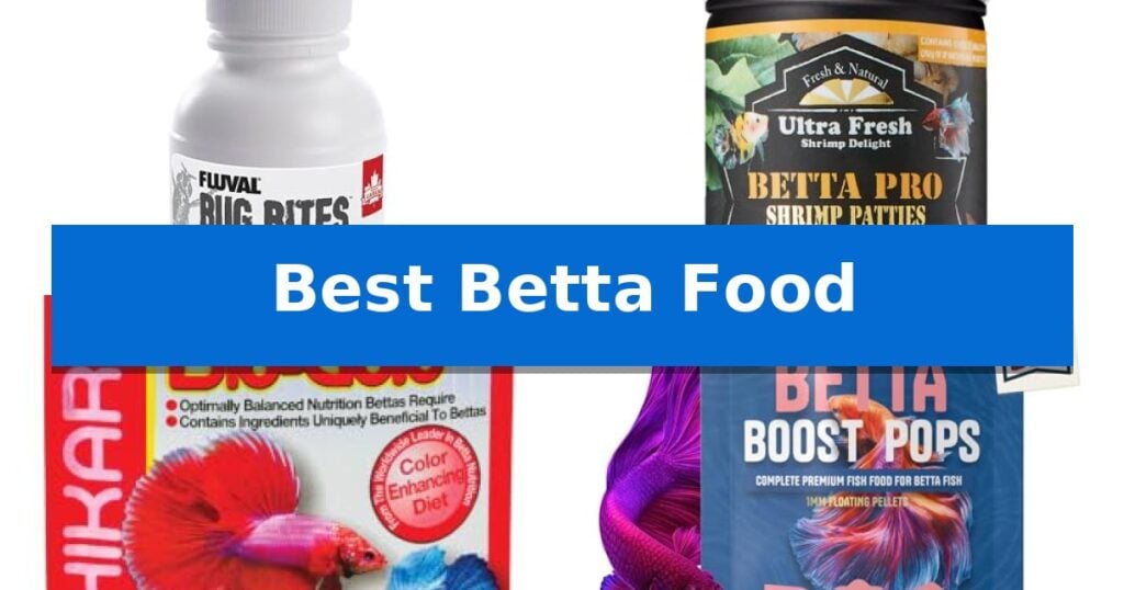 Best Betta Food