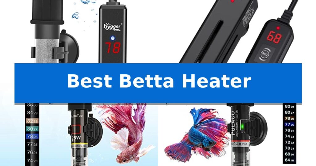Best Betta Heater