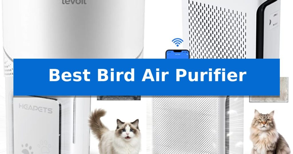 Best Bird Air Purifier