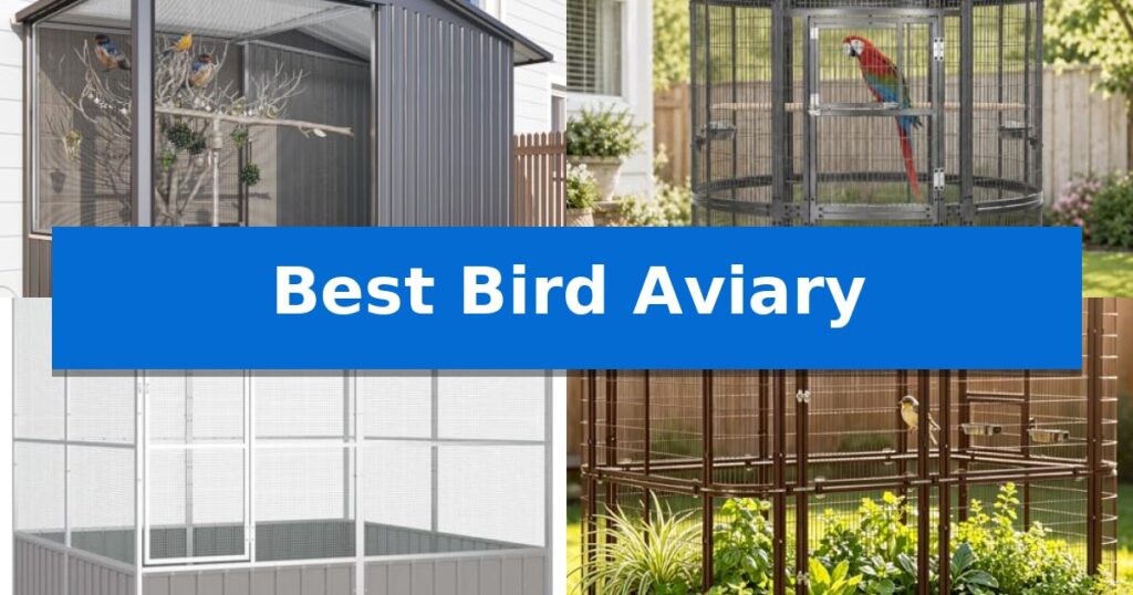 Best Bird Aviary