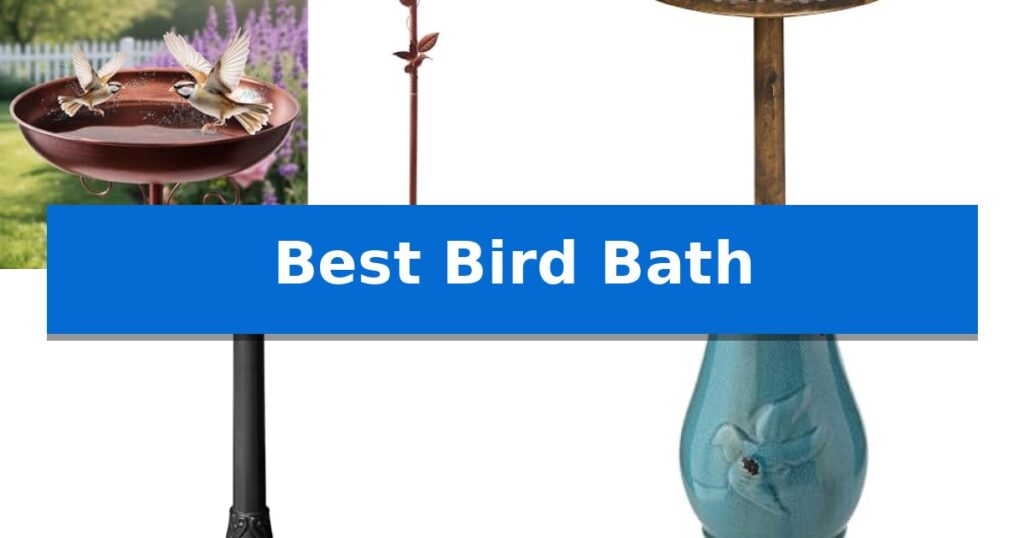 Best Bird Bath