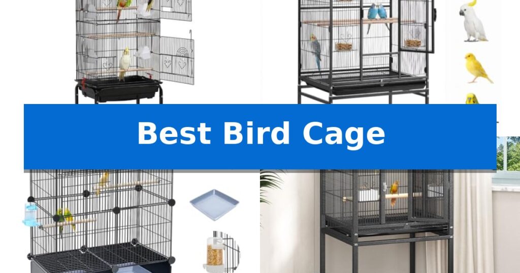 Best Bird Cage