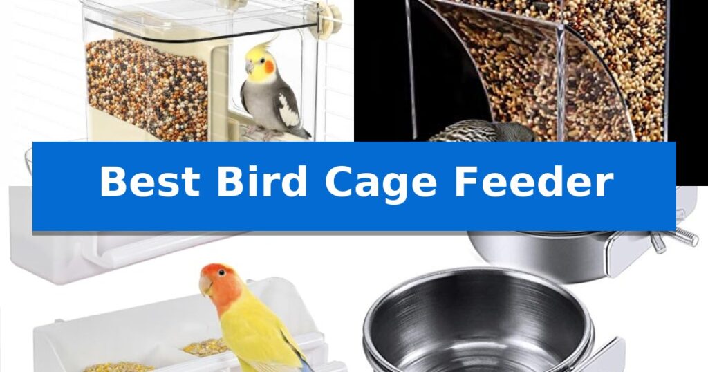Best Bird Cage Feeder
