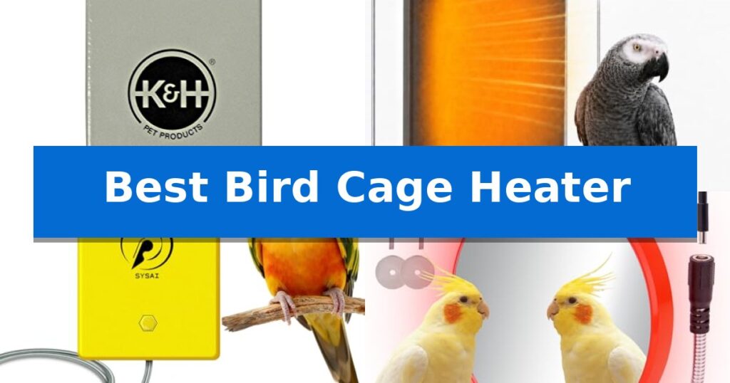 Best Bird Cage Heater