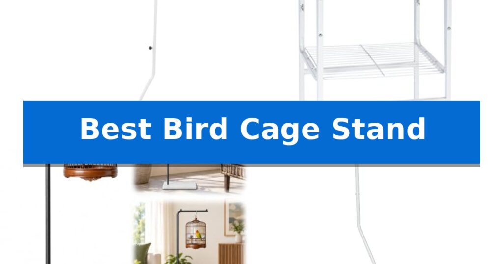 Best Bird Cage Stand