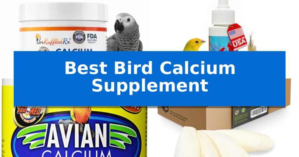 Best Bird Calcium Supplement