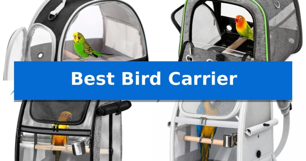 Best Bird Carrier