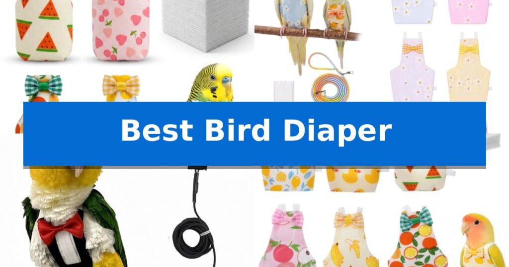 Best Bird Diaper