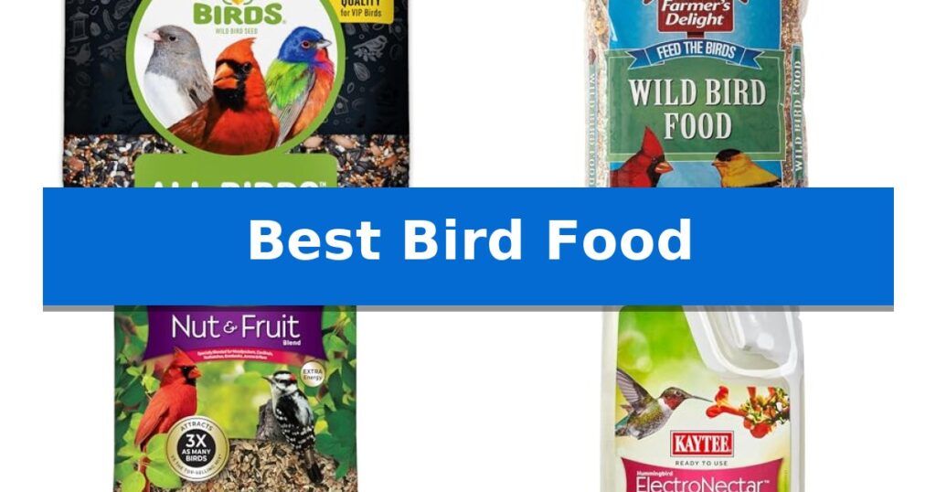 Best Bird Food