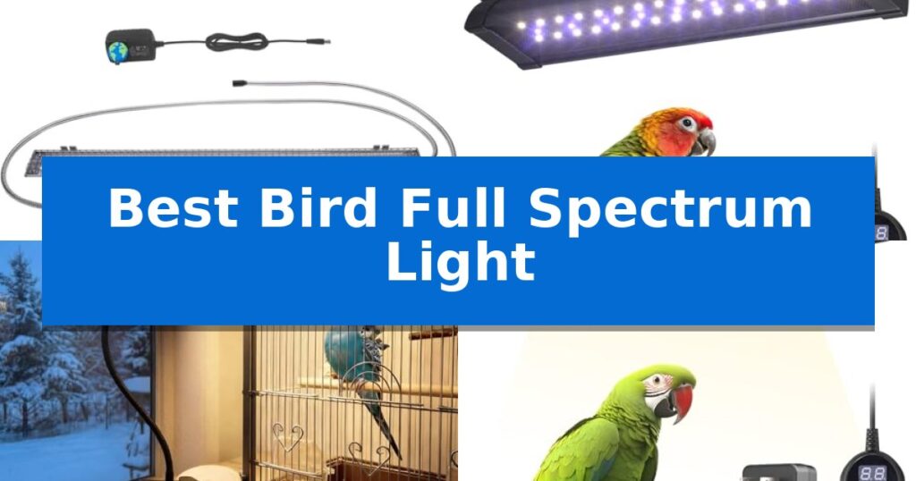 Best Bird Full Spectrum Light