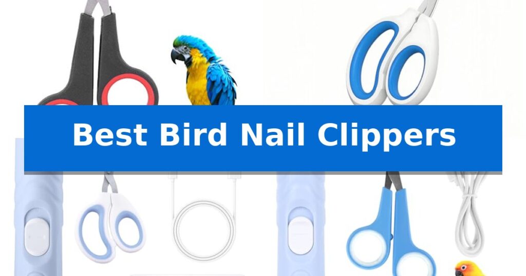 Best Bird Nail Clippers