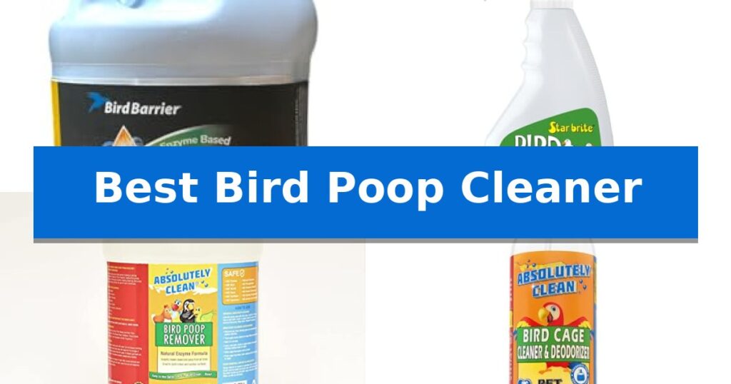 Best Bird Poop Cleaner