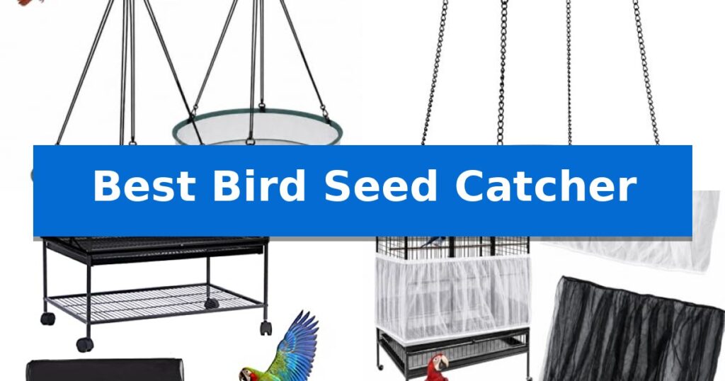 Best Bird Seed Catcher