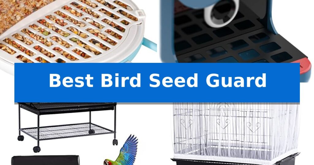 Best Bird Seed Guard