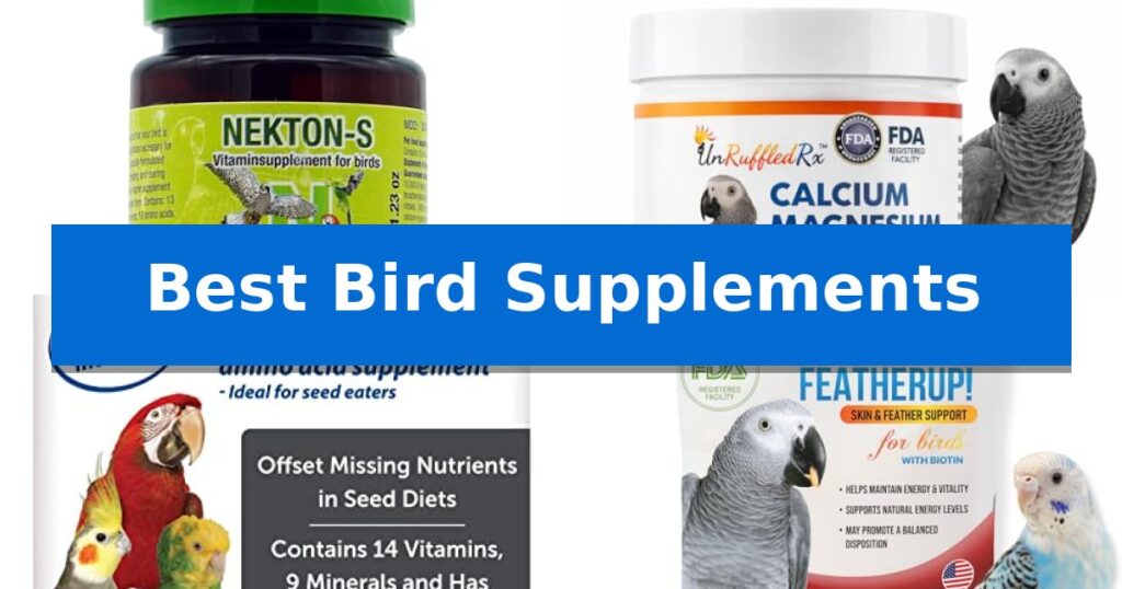 Best Bird Supplements