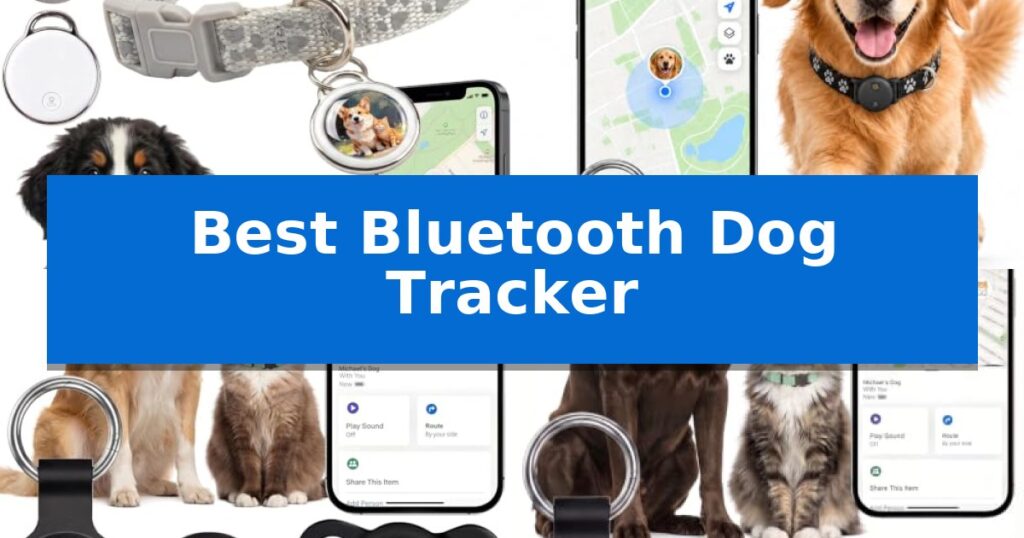 Best Bluetooth Dog Tracker