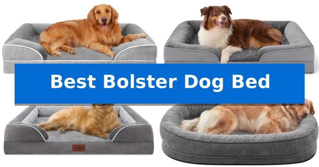 Best Bolster Dog Bed