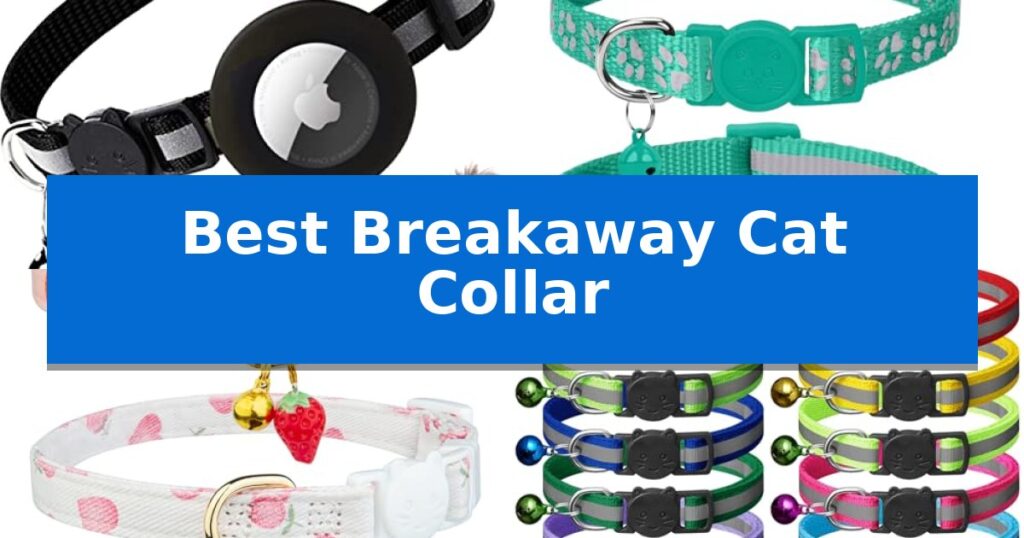 Best Breakaway Cat Collar