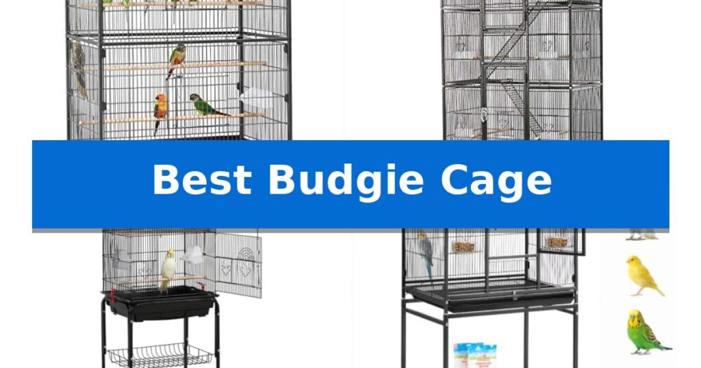 Best Budgie Cage