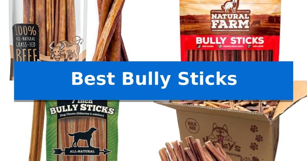Best Bully Sticks
